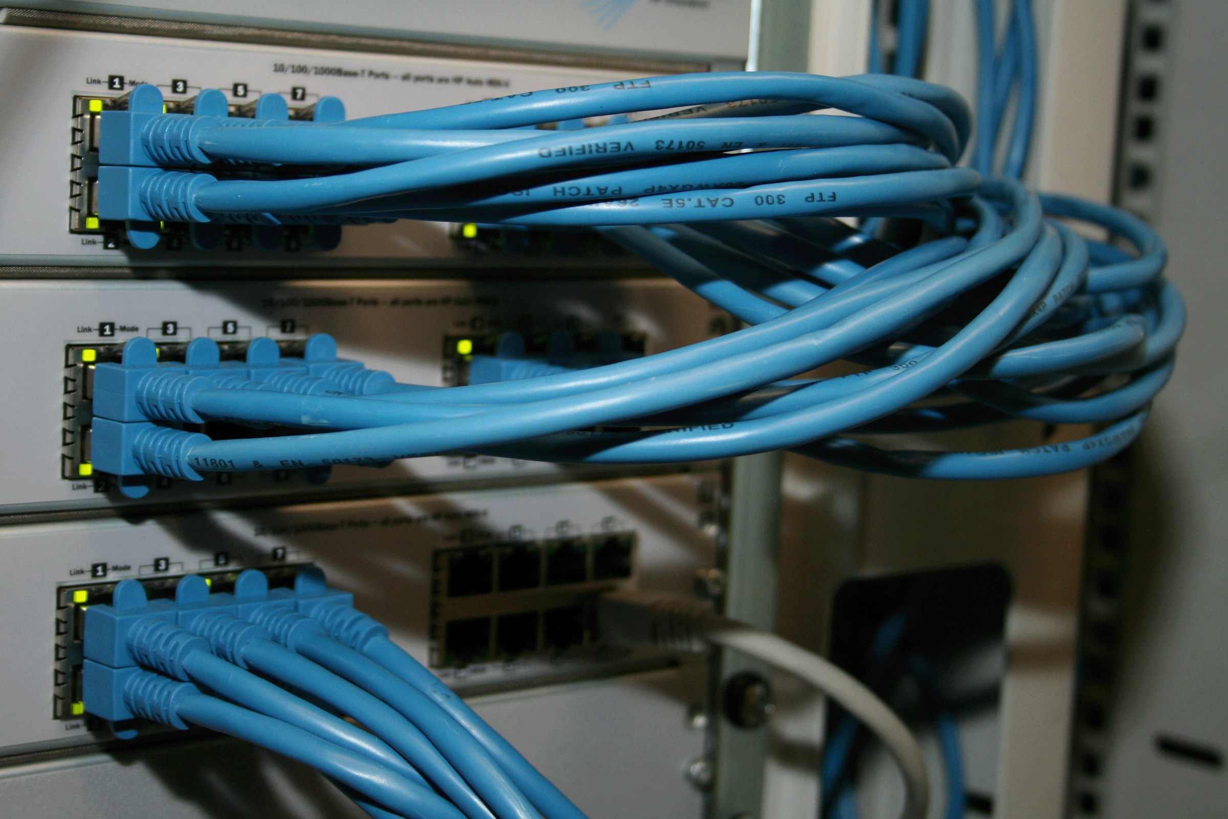 Blue Ethernet cables connect to network ports on a data switch, illustrating a complex network setup essential for connectivity.
